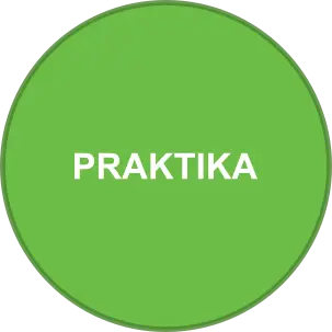 Praktika