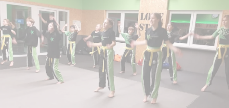 Little Ninjas Training