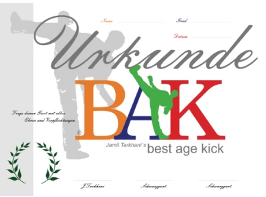 Best Age Kick Boxing Urkunde