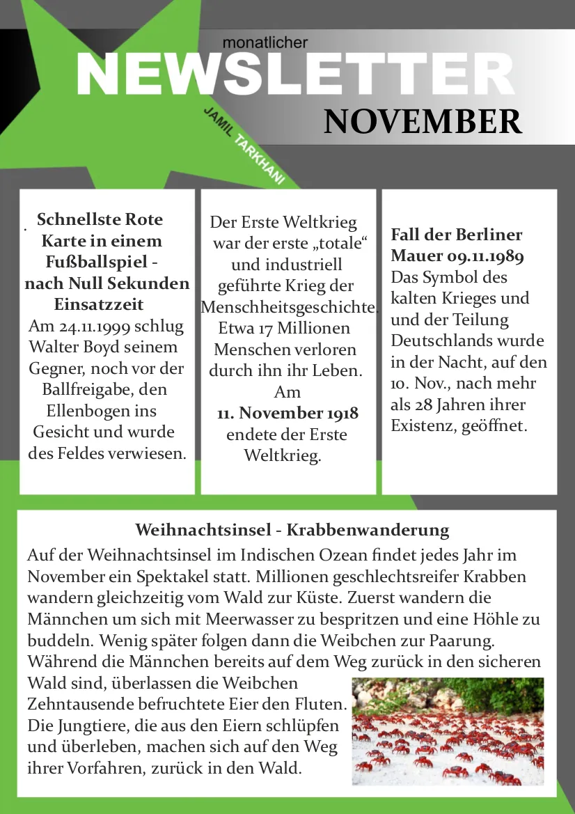 Newsletter November 2024